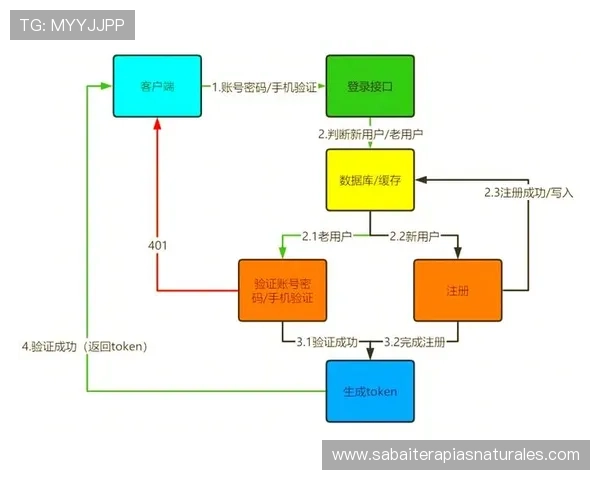 全面解析AG官方网站的功能特色与用户指导教程