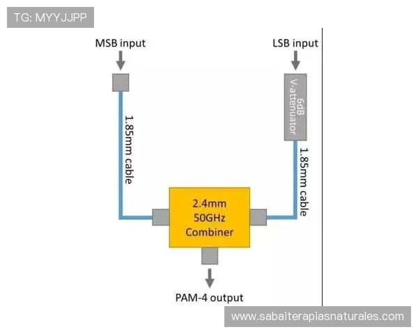 多渠道获取BG视讯官方地址入口保证每次登录顺畅无阻 多渠道获取BG视讯官方地址入口保证每次登录顺畅无阻