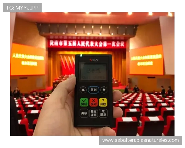 实现远程会议投票的最佳解决方案——深入解析PA厅电投的核心技术