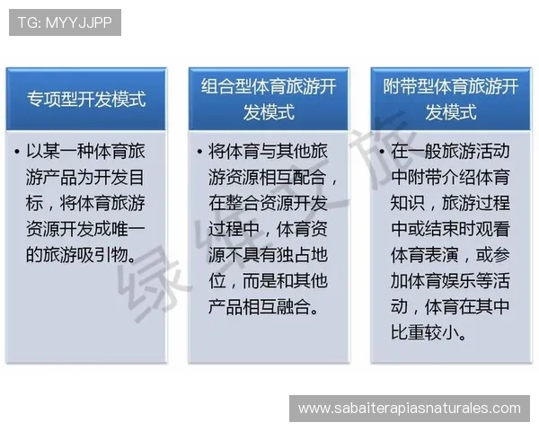 新2体育：引领青少年体育发展的创新平台与未来趋势分析