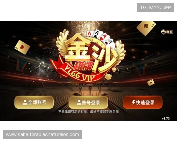 澳门棋牌地址平台：探索澳门地区最受欢迎的棋牌网站