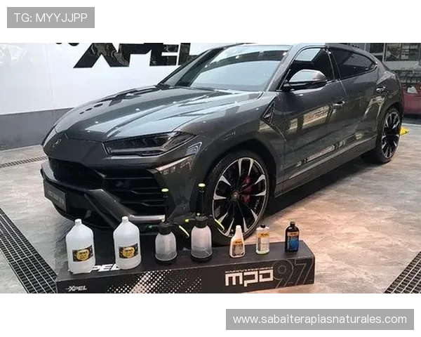 凯发真人平台技术支持与平台稳定性分析报告 凯发真人平台技术支持与平台稳定性分析报告