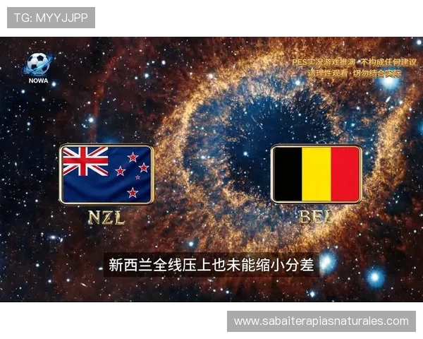 世界杯新西兰比利时比赛场馆的容量、座位布局及观众服务设施全面解读
